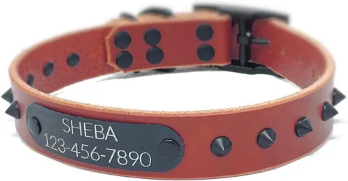 Miniatura 5 de Personalized Spiked Bridle Leather Dog Collar, Engraved Matte Black Metal Nameplate (Mustard Yellow)
