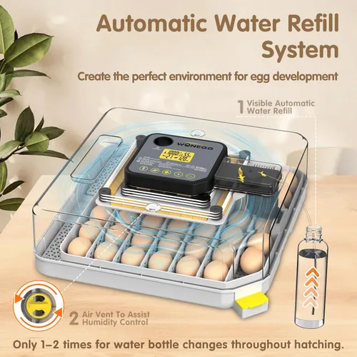 Miniatura 4 de Incubadoras para huevos para incubar huevos para granja de laboratorio con giro automático de huevos para pollo, patos, ganso, codorniz, 48 huevos