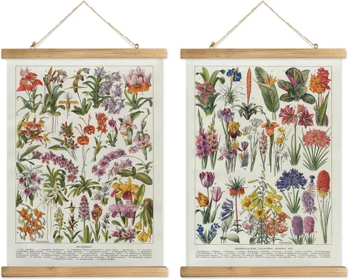 Miniatura 11 de XIAOAIKA Póster Educativo de Vida Silvestre de Seto Británico - Cuadro Ilustrado de la Naturaleza con Marco de Madera - Arte de Pared de Animales