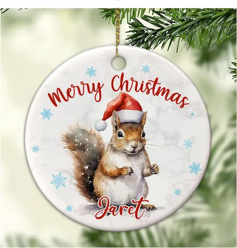 Hyturtle Adornos de Navidad personalizados para amantes de las ardillas - Adorno de cerámica personalizado con nombre de ardilla de Navidad - Lindos