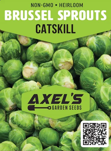 Miniatura 3 de Catskill - Semillas de coles de Bruselas para plantar, paquetes de semillas de coles de Bruselas sin OMG con instrucciones para plantar y cultivar