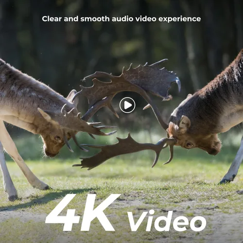 Miniatura 2 de K&F Concept Cámara de rastreo 4K 48MP, cámara de juego con visión nocturna sin brillo, tiempo de disparo de 0.1s, lente ancha de 120°, impermeable