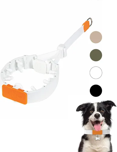 Miniatura 13 de SVD.PET Collar de punta para perro para entrenamiento sin tirones, hebilla de liberación rápida ajustable para perros pequeños, medianos y grandes