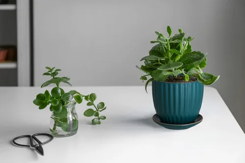Miniatura 5 de D'vine Dev Juego de 2 macetas de cerámica para plantas, maceta con orificio de drenaje y platillos, 4.5 pulgadas 5.8 pulgadas, negro, 99-D-2