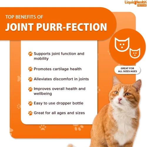 Miniatura 3 de LIQUIDHEALTH Pets Liquid Cat Glucosamine Joint Purr-Fection - Apoyo para Alivio de Salud de Cadera y Articulaciones, Goteros Felinos de Condroitina