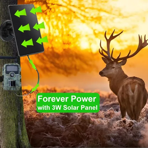 Miniatura 5 de Panel solar de cámara de sendero, mini cargador de batería solar DC 12V/1A 6V/1.5A batería de litio recargable incorporada de 5000 mAh, accesorio