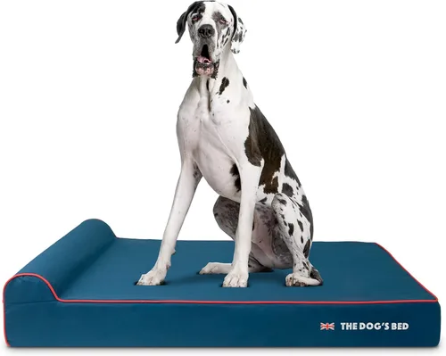 Miniatura 24 de The Dog's Bed - Cama Ortopédica para Perros con Reposacabezas XL Negra de Felpa, Espuma Viscoelástica, Alivio del Dolor para Artritis, Displasia