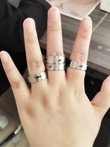 Miniatura 4 de INENIMARTJ Anillos giratorios de dinosaurio para mujeres y hombres, anillos giratorios de dinosaurio de acero inoxidable, anillo de ansiedad de C