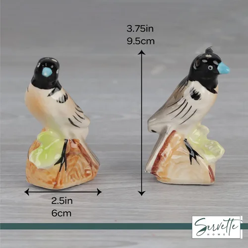 Miniatura 5 de Coctelera de cerámica para pájaros, salero y pimentero, decoración de cocina, pájaro retro