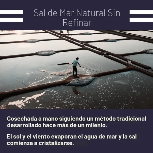 Miniatura 6 de Le Marinier Sal marina francesa extra fina, 8.81 onzas – 0.6 libras. Sal celta orgánica, 100% natural, rica en minerales, sin refinar, cosechada a