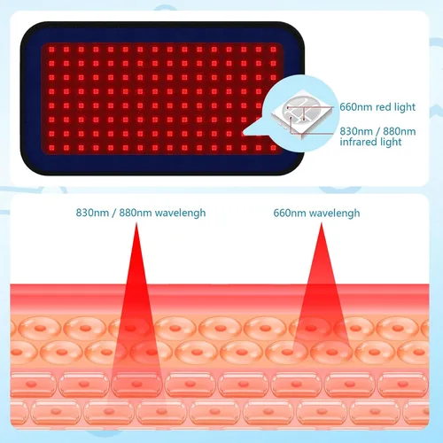 Miniatura 3 de Cinturón de terapia de luz infrarroja roja para aliviar el dolor de mascotas, dispositivo portátil de terapia con láser frío para reparación
