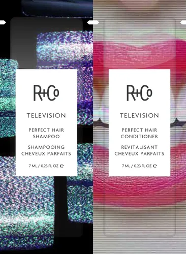 R+Co TELEVISION Perfect Hair Shampoo – Hydrating & Smoothing Hair Cleanser, Adds Shine & Softness, All Hair Types