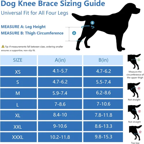Miniatura 2 de Rodillera para perro para desgarro de la pierna trasera del acl - Soporte estabilizador ajustable para lesiones de Ccl, rótula luxante, dolor
