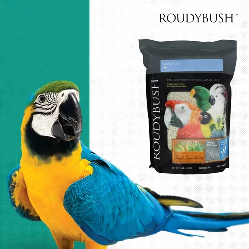 Miniatura 8 de RoudyBush Alimento bajo en grasa para pájaros y pollitos adultos, comida diaria para aves, pellets hechos con maíz, trigo y soja, pellets bajos