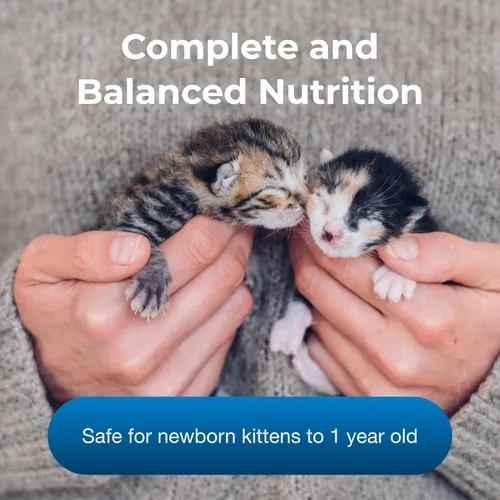 Miniatura 3 de PetAg KMR Kitten Milk Replacer Powder - 6 onzas - Fórmula en polvo para gatitos con prebióticos, probióticos y vitaminas para gatitos recién nacidos