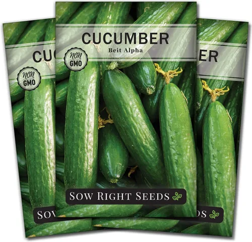 Miniatura 7 de Sow Right Seeds - Semillas de pepino Beit Alpha para plantar - Paquete de reliquia sin OMG con instrucciones para plantar y cultivar un huerto