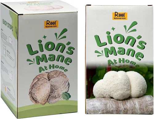 Miniatura 5 de Kit para cultivar melena de león (un kit), tronco de 3.2 libras