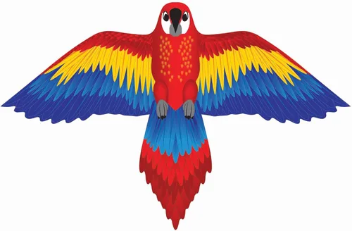 X Kites SuperWings Superized Ripstop - Cometas grandes de nailon