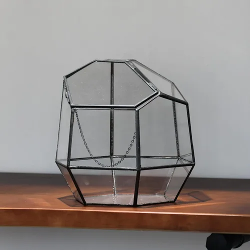 Miniatura 6 de NCYP Terrario geométrico cerrado pequeño hecho a mano de 7.5 pulgadas con puerta, maceta de vidrio irregular negro, maceta moderna para flores