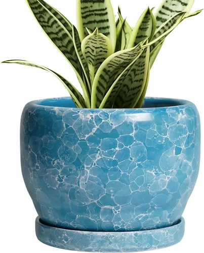 Miniatura 28 de SQOWL Macetas de cerámica – Maceta de 6 pulgadas con orificio de drenaje y bandeja, maceta redonda para plantas de interior, maceta decorativa