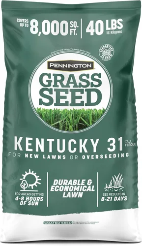 Miniatura 14 de Pennington Kentucky 31 Semilla de Césped Festuca Alta Penkoted 7 lb