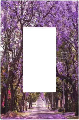 Miniatura 42 de Cubierta de Interruptor de Luz de 1 Gang con Flores Silvestres Bohemias, Hierbas, Floral, Decorativa, Planta Botánica, Naturaleza, Acuarela, Placa