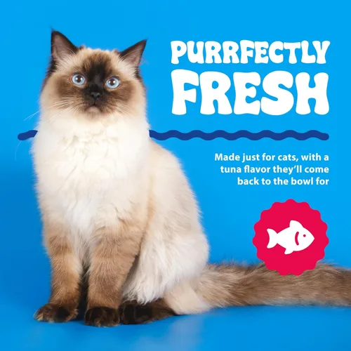 Miniatura 6 de Aditivo para agua Dental Fresh para gatos, sabor a atún para el cuidado dental – Cuidado oral fácil, dientes más limpios, aliento fresco y apoyo