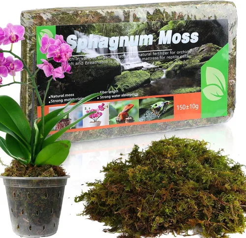 Doter Musgo de bosque seco para plantas (5 cuartos de galón / 1 paquete), musgo para macetas para varias plantas, incluyendo orquídeas, plantas