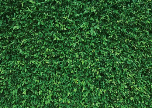 Miniatura 10 de Fondo de pared de césped, hojas verdes, césped, fiesta, fotografía, decoración vegetal, cumpleaños, baby shower, boda, 5 x 3 pies PCK39A