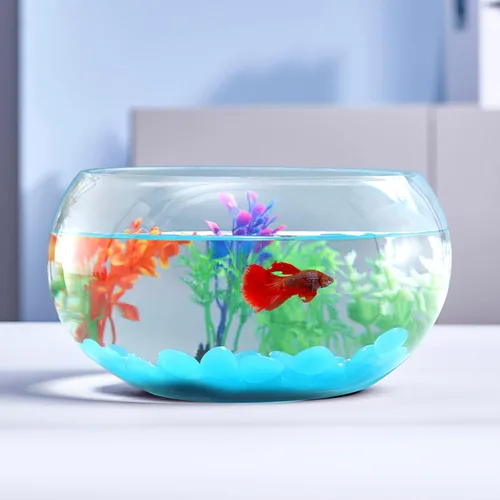 Pecera de vidrio de 1 galón con decoración, incluye rocas fluorescentes y árboles de plástico coloridos, vidrio blanco de alta calidad para vista