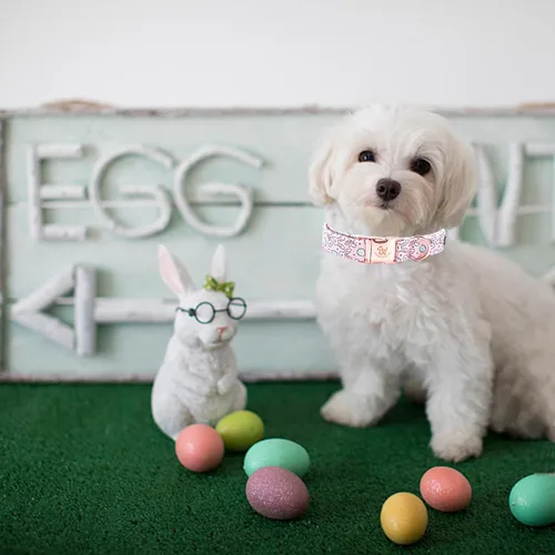 Miniatura 4 de Elegant little tail Collar para perro de Pascua, collar de perro con estampado de huevos de conejo, collar para mascotas, collar rosa para perros