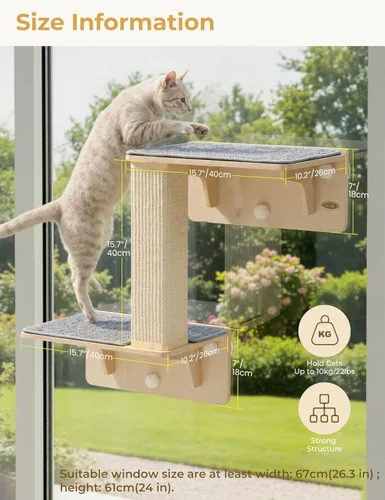 Miniatura 3 de Pecute Estantes dobles para gatos con poste rascador para pared y ventana con madera maciza, ventosa fuerte, alfombrilla de cubierta lavable, cama