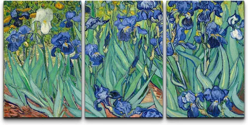 Miniatura 150 de Lienzo decorativo para pared - cuadro con estampado Giclée para decoración del hogar Noche estrellada sobre el Ródano