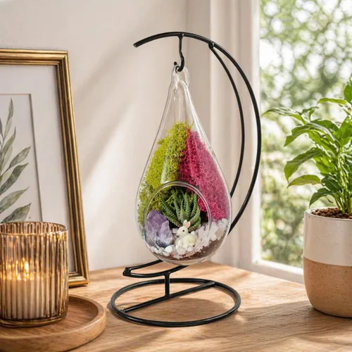 Miniatura 8 de Creations by Nathalie Kit de terrario casero de 18 cm en forma de lágrima con plantas vivas - Maceta colgante de vidrio con soporte para adultos