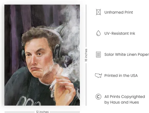 Miniatura 2 de HAUS AND HUES Póster de Elon Musk - Divertido arte de pared Trippy, póster genial para dormitorio de chicos, arte meme para sala