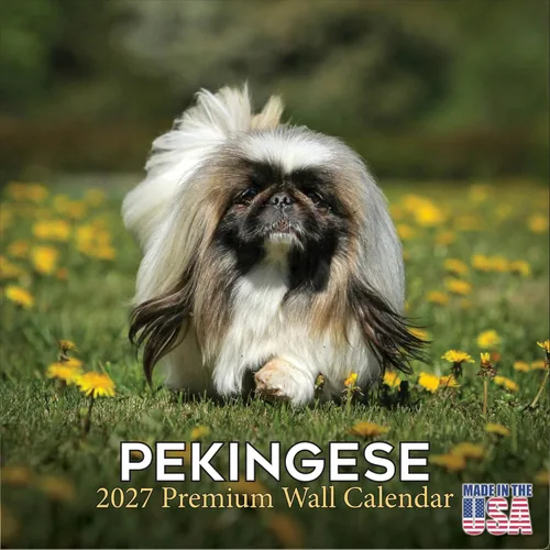 Miniatura 18 de Calendario amarillo 2025 2026 de Labrador Pups – Calendario mensual de pared de raza de perro – 12" x 24" abierto – Papel grueso anti-traspaso