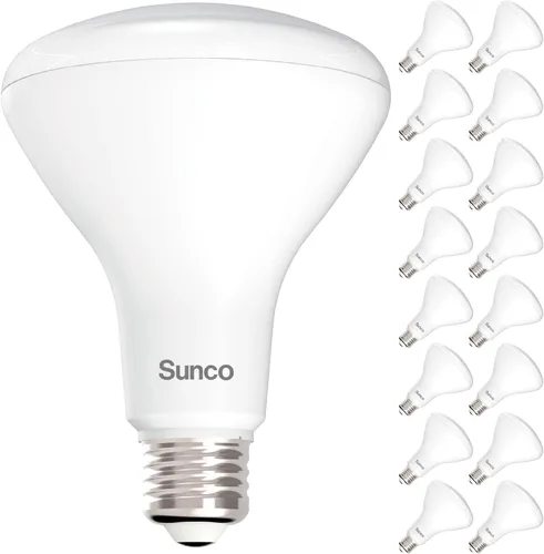 Sunco Paquete de 16 Bombillas LED BR30, Bombillas para Luces Empotradas, Bombilla de Inundación Interior, 850 LM, 11W (Equivalente a 65W), 2700K