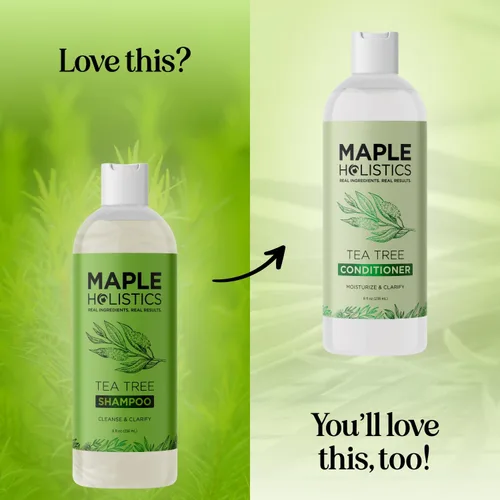 Miniatura 8 de Champú aclarante para acumulación y cabello graso - Champú de árbol de té para hombres y mujeres con aceite esencial de romero para cabello graso