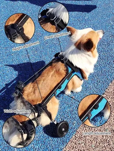 Miniatura 3 de Herramienta ligera para caminar para perros, silla de ruedas ajustable para perros, soporte para piernas y soporte de cadera para perros pequeños