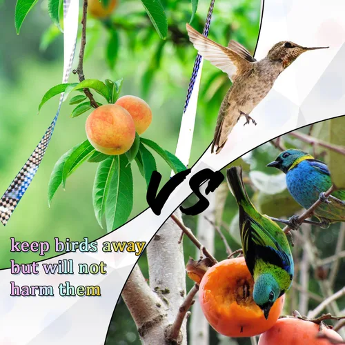 Miniatura 5 de 2 cintas reflectantes para pájaros para exteriores, 328 pies, repelente de miedo de pájaros, cinta holográfica reflectante de doble cara