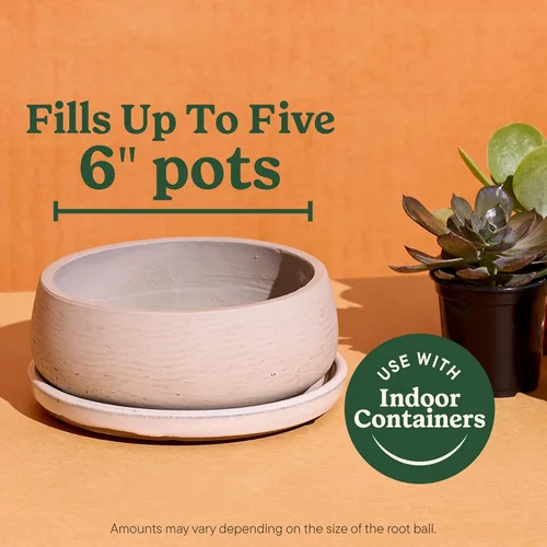Miniatura 5 de Miracle-Gro Mezcla para macetas de interior para cactus y suculentas, mezcla para macetas de cactus y suculentas de drenaje rápido con alimentos