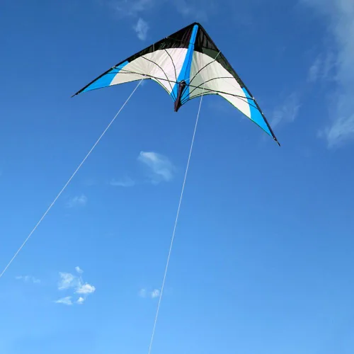 Miniatura 4 de HENGDA KITE - Cometa de rima estelar mejorada de 48 pulgadas, cometa de acrobacias de doble línea para niños y adultos, deportes al aire libre