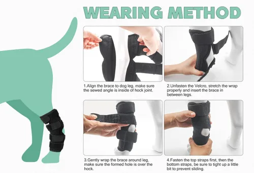 Miniatura 4 de Soporte para Pata Trasera de Perro, Tobillera para Pata Trasera de Perro, Envoltura de Compresión con Fuerte Soporte para Articulación del Corvejón