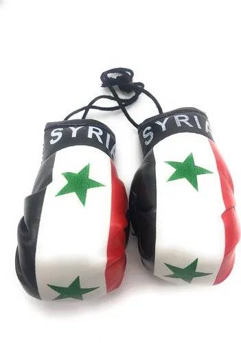 Miniatura 9 de Mini guantes de boxeo para colgar en el espejo del coche (Camerún)
