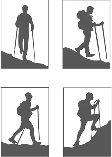 Miniatura 4 de Bastones de senderismo de aleación de aluminio con sistema de bloqueo rápido, bastón de senderismo telescópico para campamento y montañismo