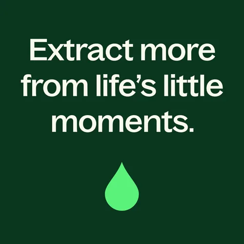 Miniatura 8 de Plant Therapy Aceite esencial Rose Otto 5 mL (1/6 oz) 100% puro, sin diluir, aromaterapia, cuidado de la piel, relajante y romántico aroma