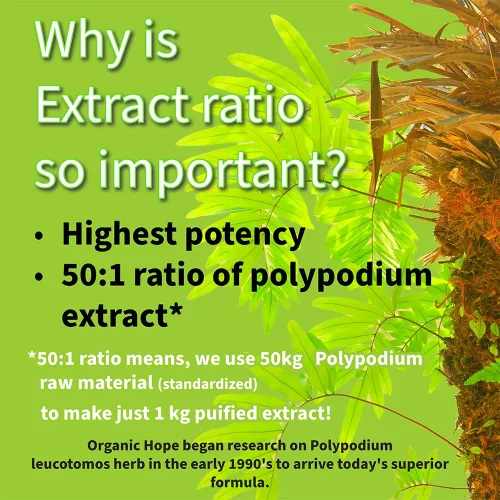 Miniatura 4 de (Calaguala) con Polypodium Leucotomos para el apoyo del sistema inmunológico, extracto 50:1 de mayor potencia 400 mg (120 cápsulas vegetales)