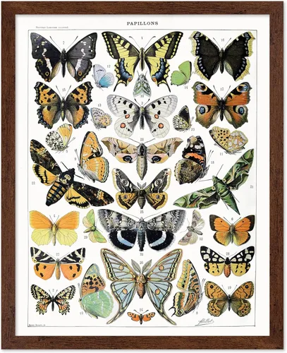 Miniatura 21 de Poster Master Póster vintage de miel, impresión retro de La Vie De L'Abeille, arte de panal de abeja, arte de pared de abeja, regalo para hombres