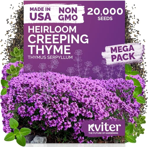 Miniatura 20 de KVITER 25 semillas de algodón blanco para plantar (Gossypium hirsutum) – Planta de algodón real, semillas de algodón para cultivo, semillas