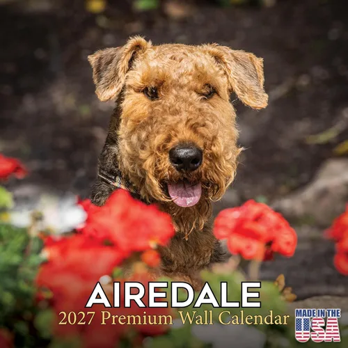 Miniatura 112 de Calendario 2025 2026 de cachorros Cocker Spaniel - Calendario mensual de pared de raza de perro - 12" x 24" abierto - Papel grueso sin sangrado